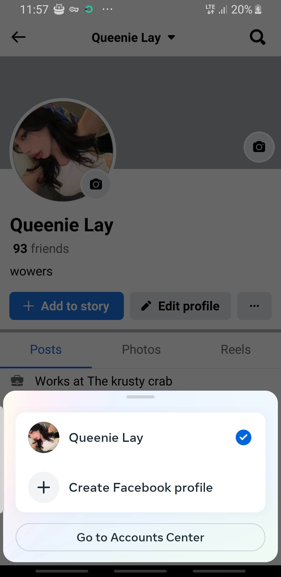 Switch profiles fb 