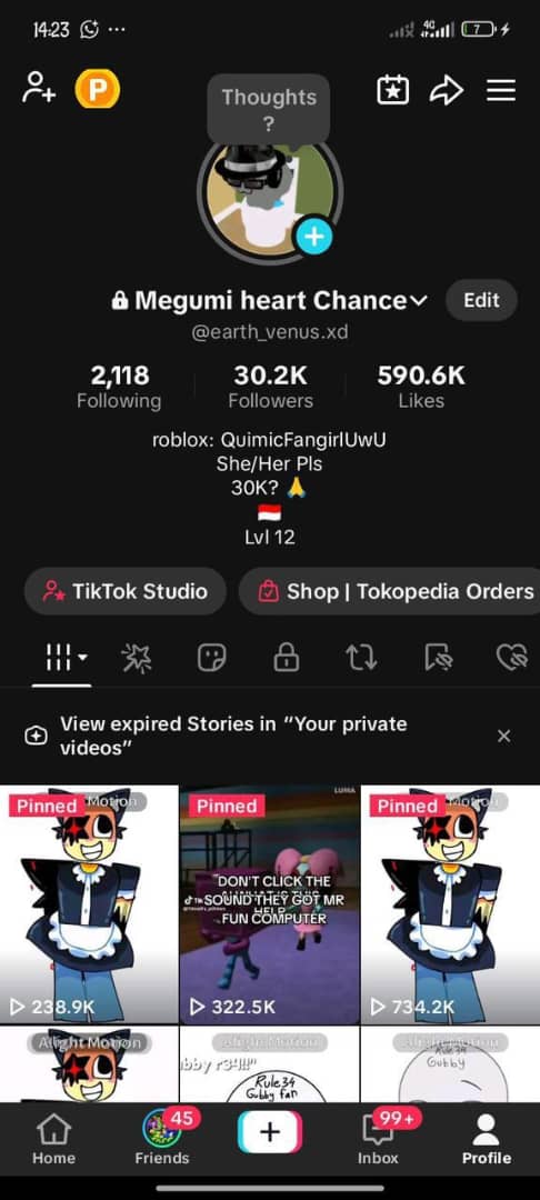 Tiktok 