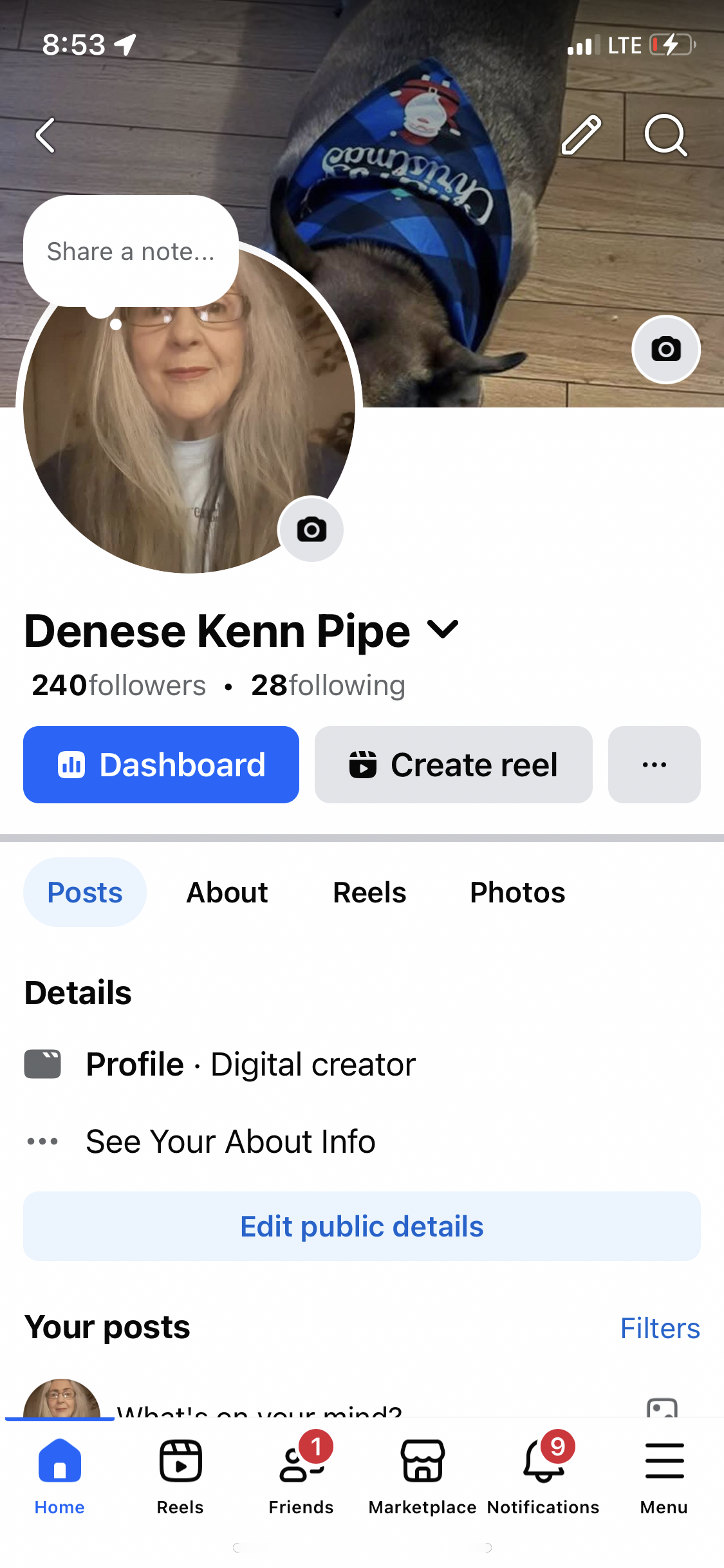 Active Nigeria account with already created pages 